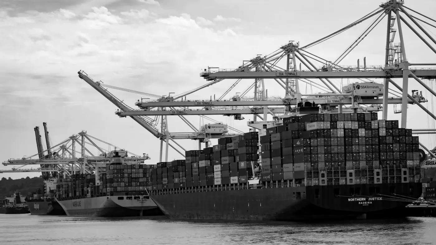 Container ship and gantry cranes at a freight terminal.